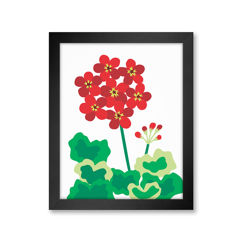 Red Geranium Print