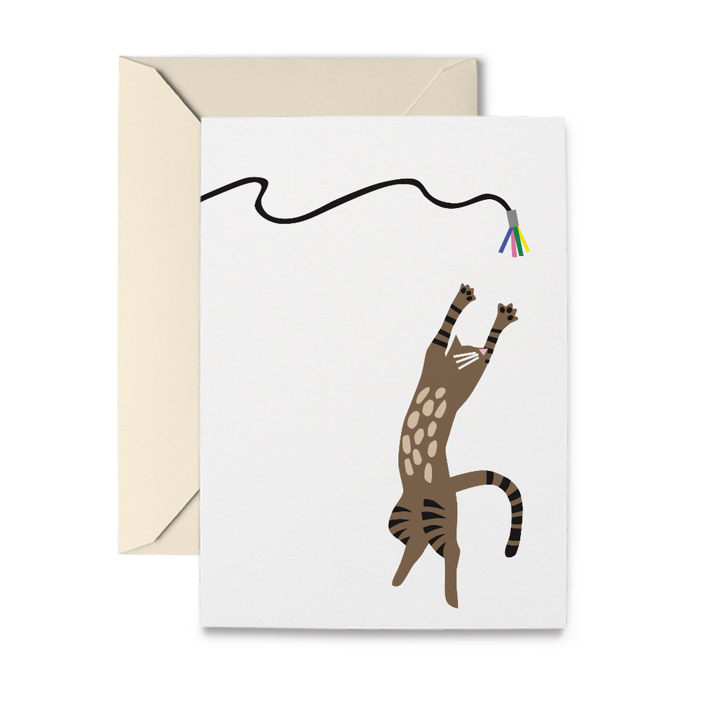 Cat Toy Note Cards