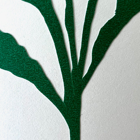 Radish Artwork