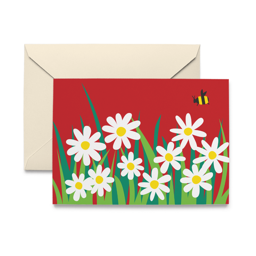 Daisies Note Cards