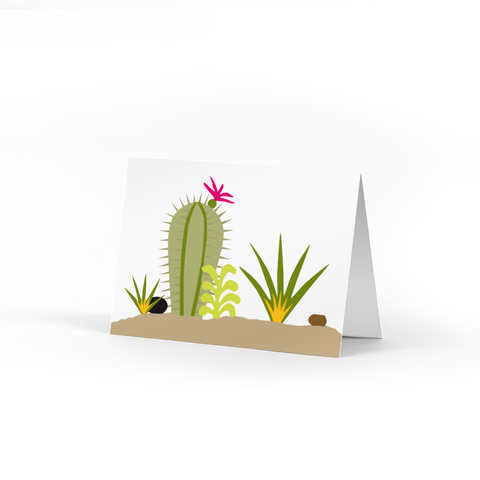 Succulents Note Cards